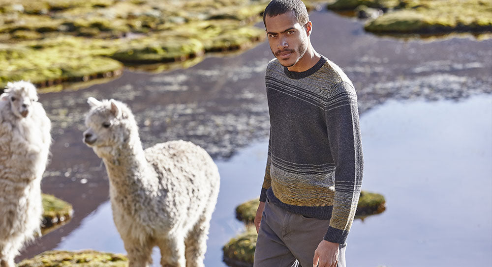 Alpaca Sweaters And Vests: A New Look For Winter