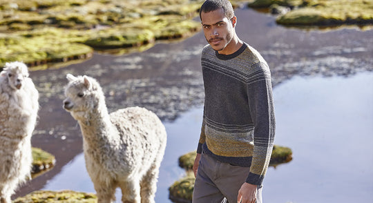 Pullover und Westen aus Alpakawolle: Ein neuer Look für den Winter