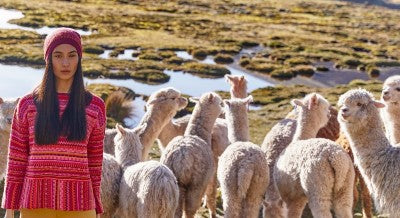 Alpaca Fiber: The Most Eco Friendly Fashion – Alpaca Collections