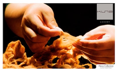 Vikunja – die luxuriöseste Wolle der Welt 