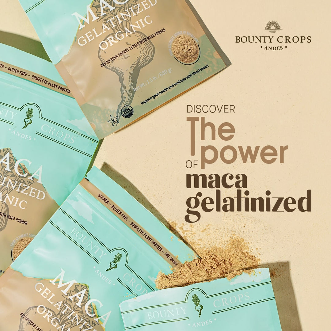 Organic Maca Gelatinized Powder, 1.5 lb / 680 gr ($0.68 ounce)