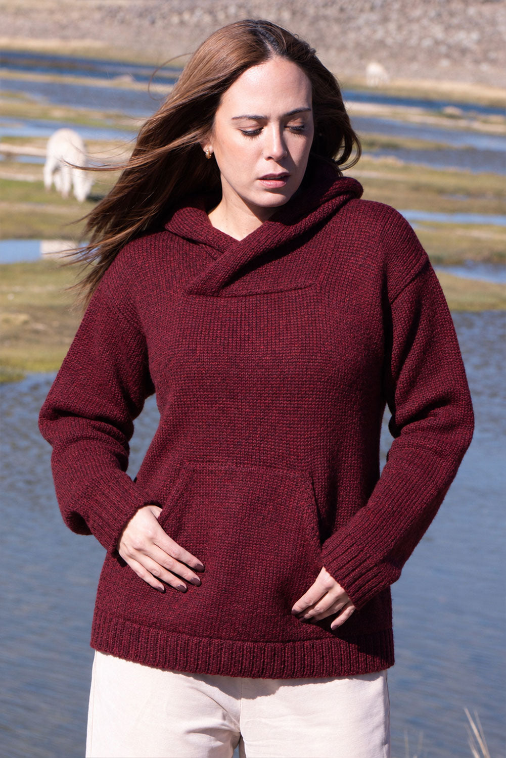 Briana Alpaca Hoodie Pullover