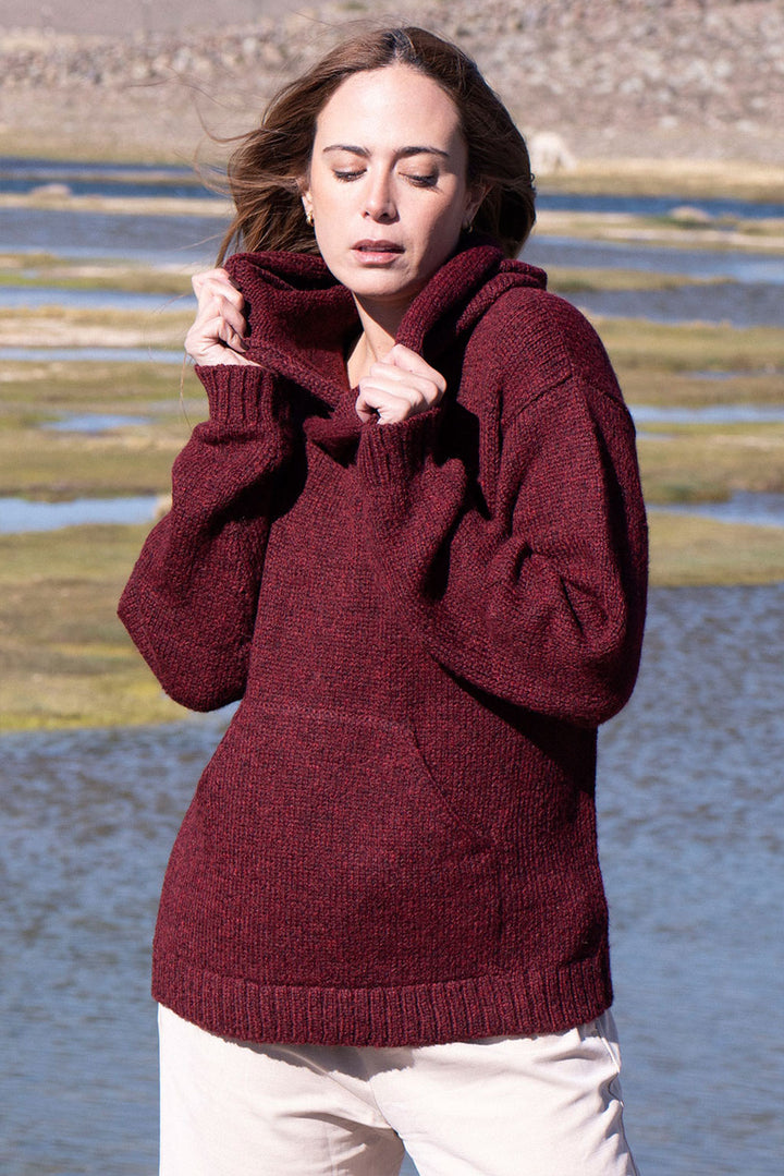 Briana Alpaka-Kapuzenpullover
