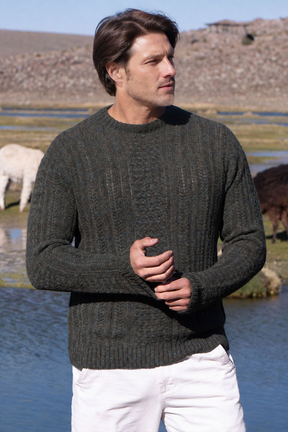 Men's Cable Baby Alpaca Sweater