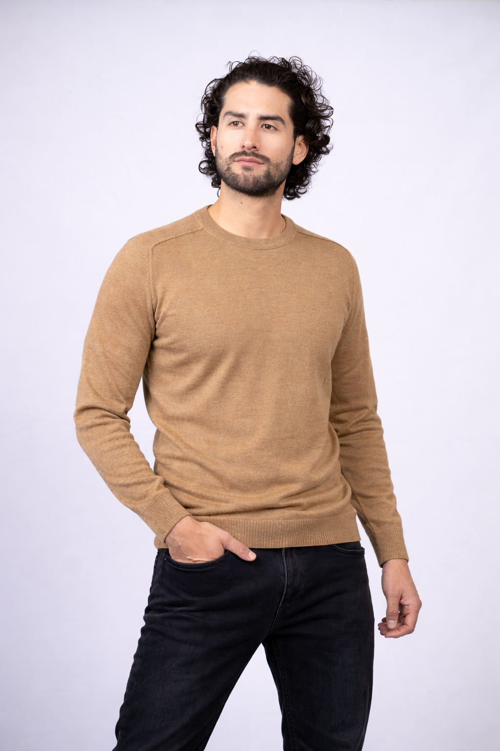 Classic Men Sweater