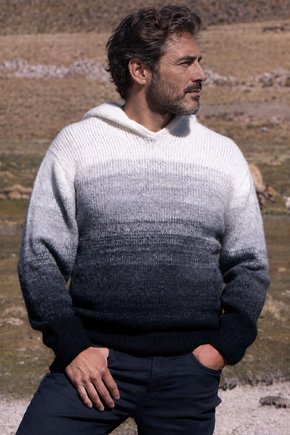 Gradient Baby Alpaca Hoodie