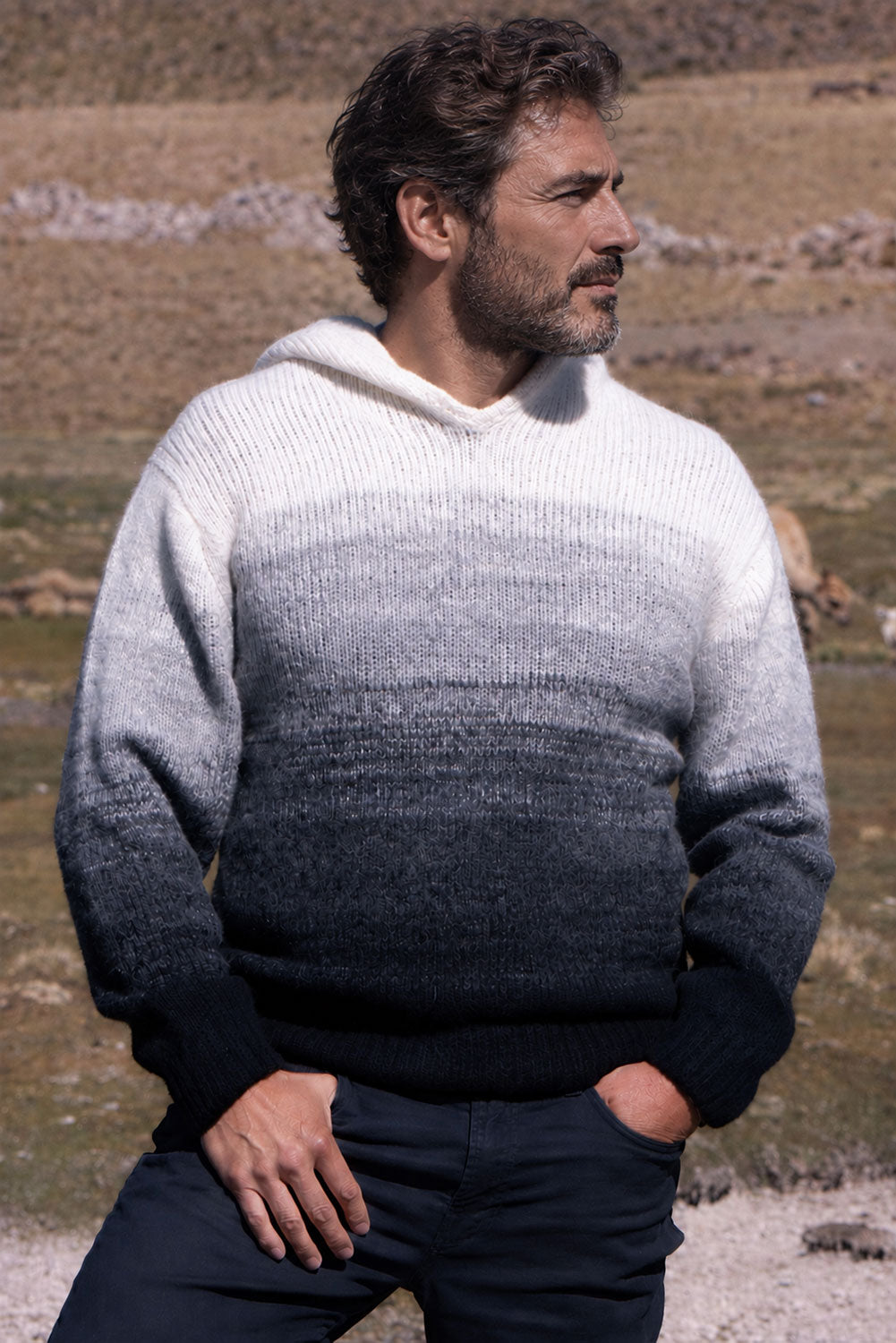 Gradient Baby Alpaca Hoodie