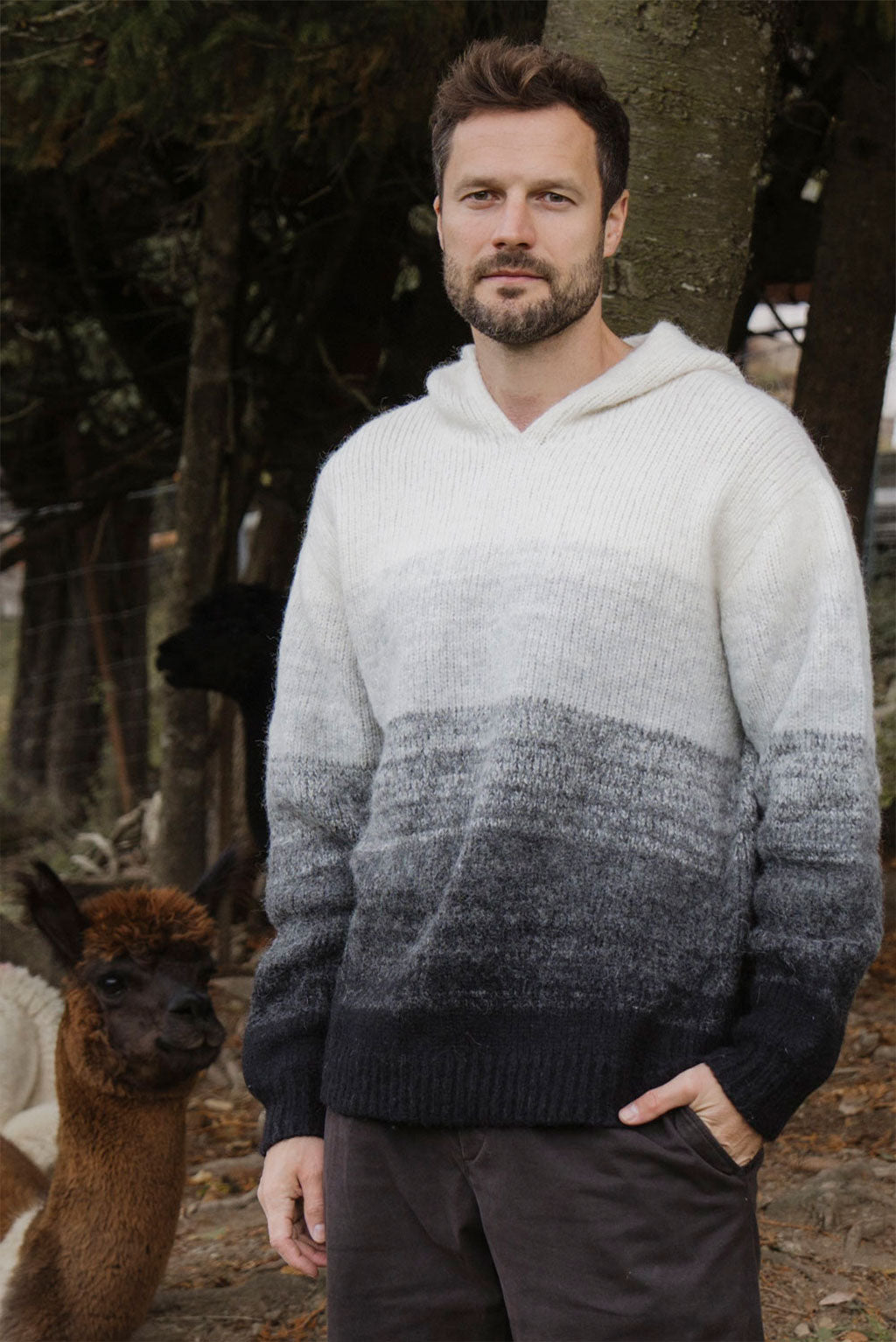 Gradient Baby Alpaca Hoodie