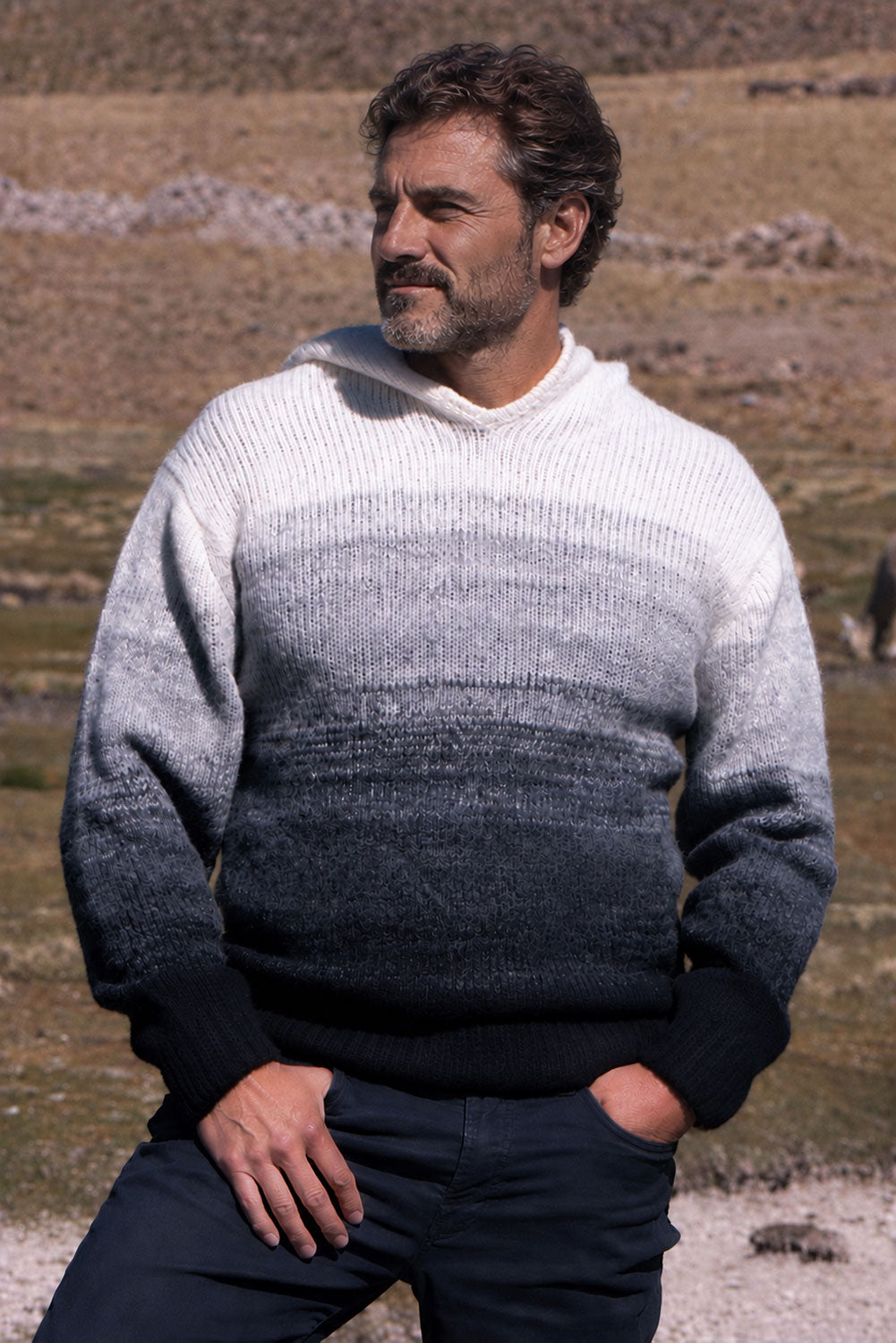 Gradient Baby Alpaca Hoodie
