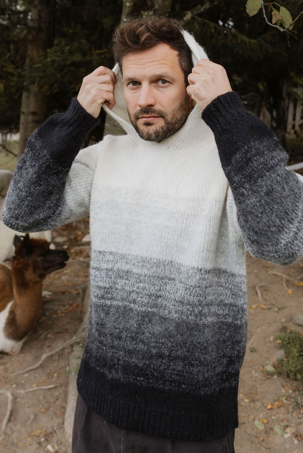 Gradient Baby Alpaca Hoodie