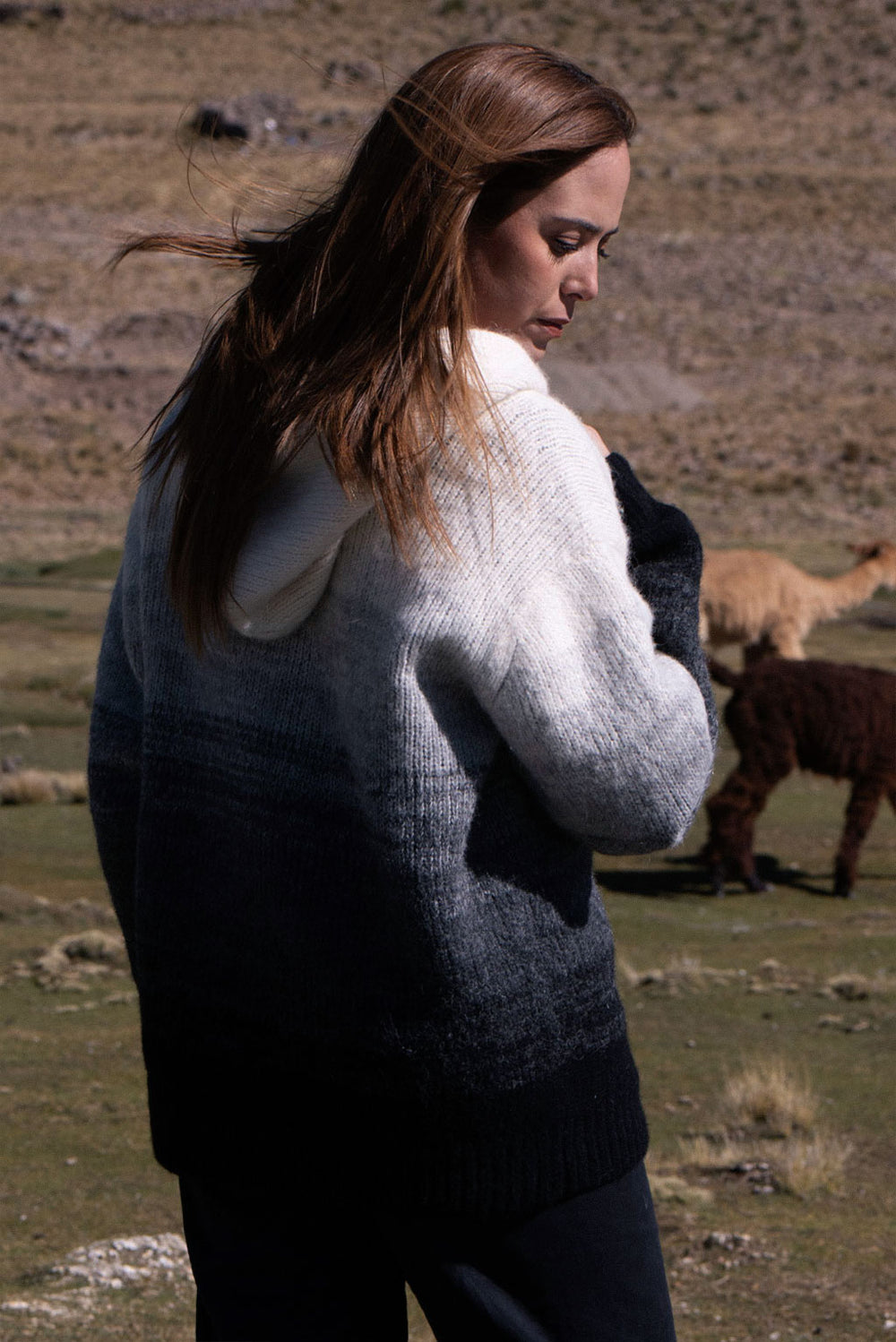 Gradient Baby Alpaca Hoodie