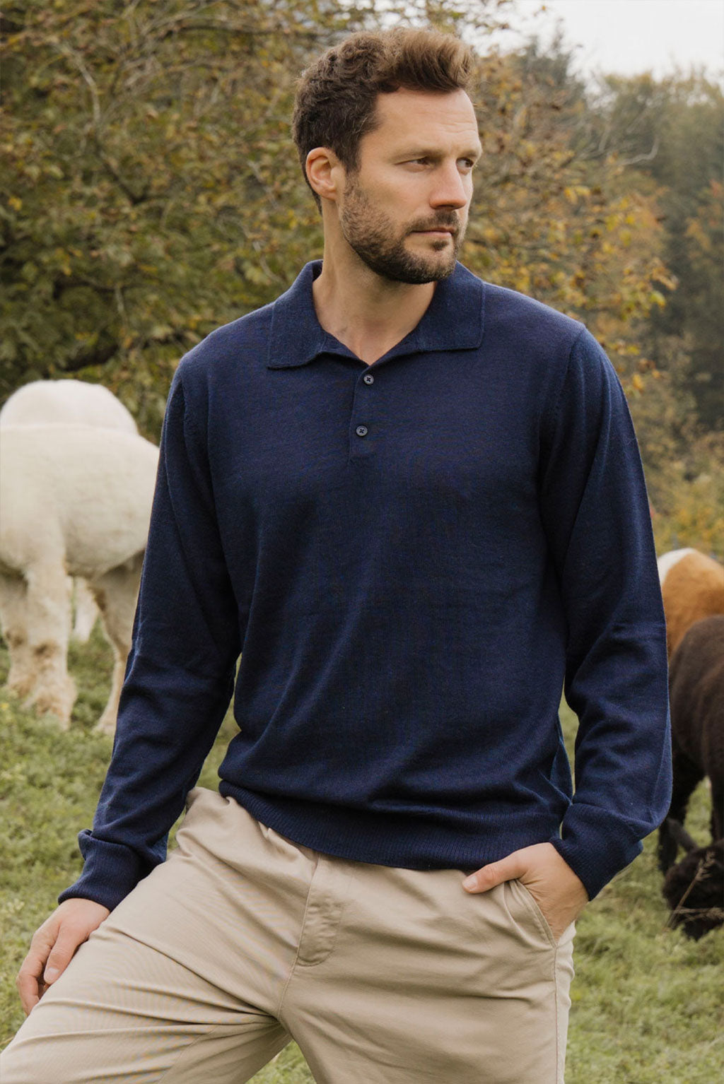 Men's Royal Alpaca Polo Sweater