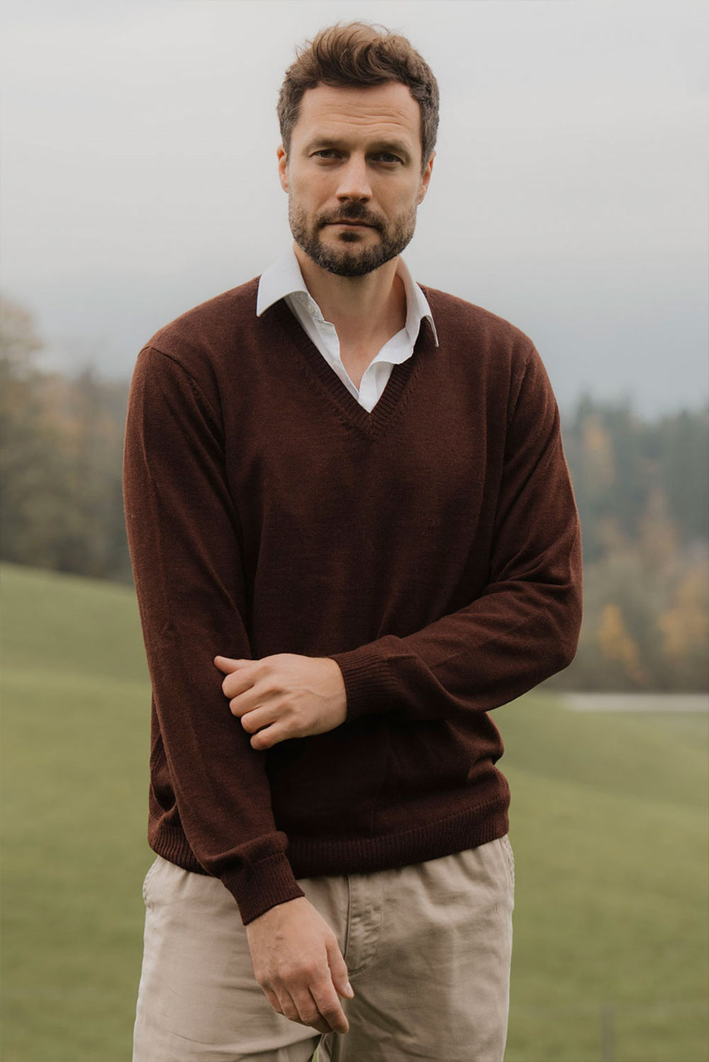 Men's V-Neck Royal Alpaca Sweater