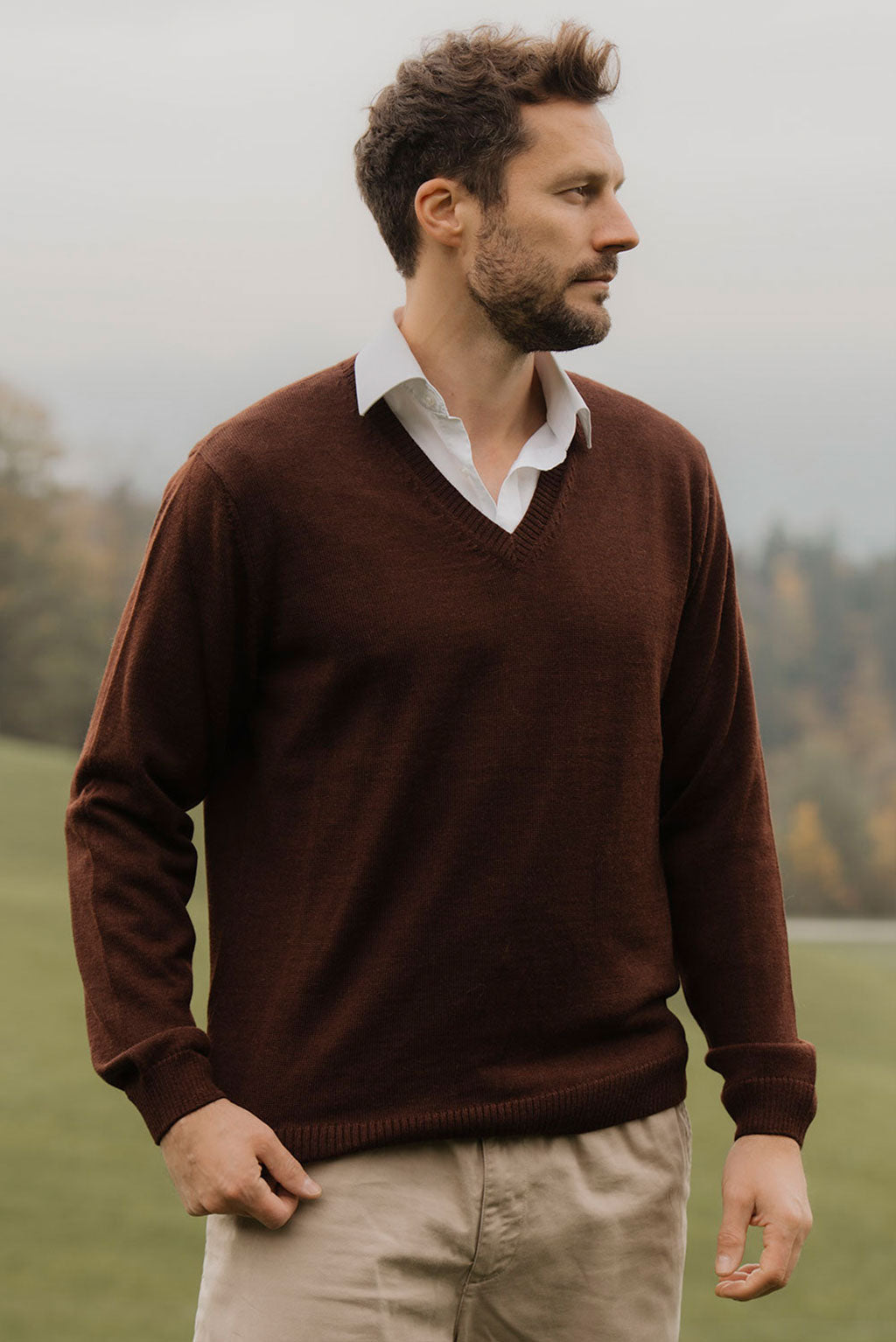 Men's V-Neck Royal Alpaca Sweater