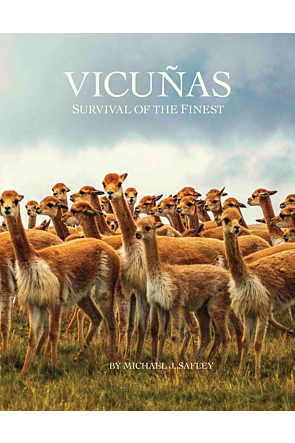 Vicunas: Survival of the Finest